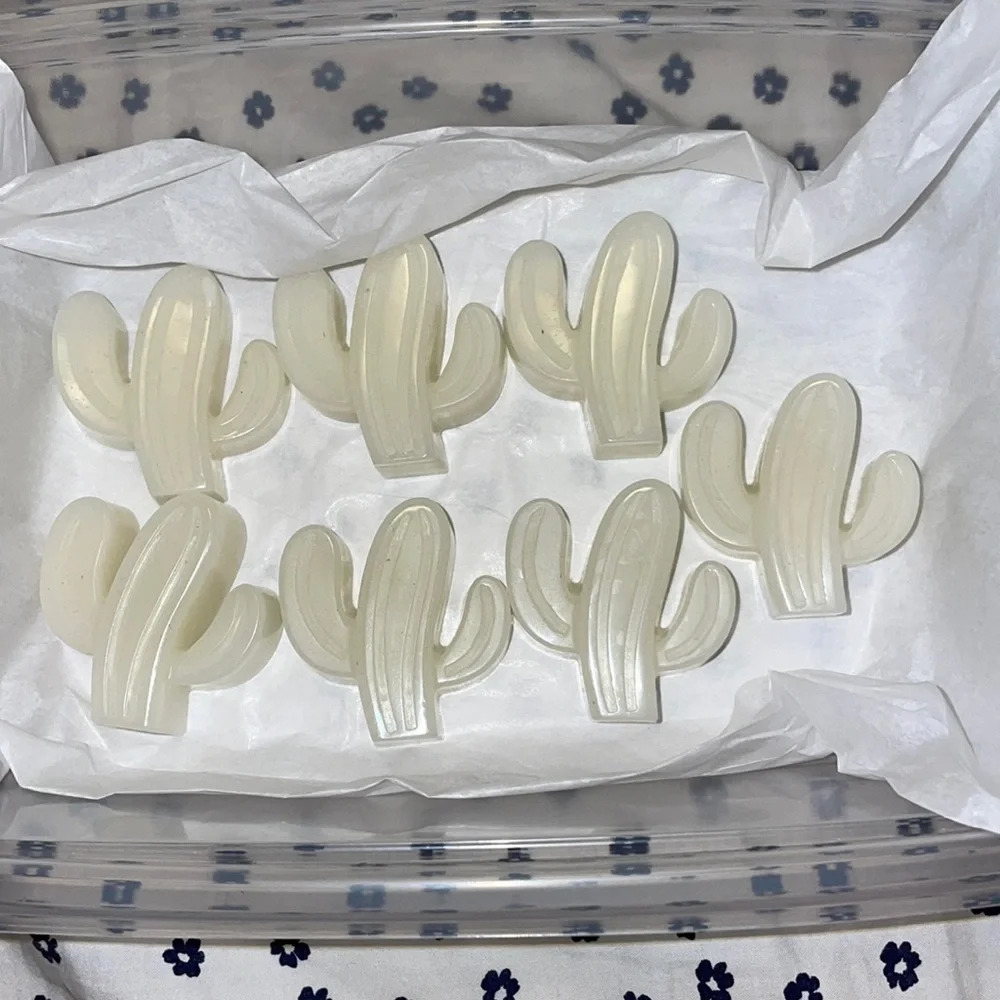 7 Handmade Eucalyptus Mint Cactus Candle Melts